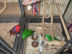 image002