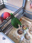 image019