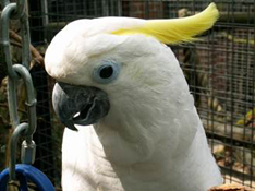 image021