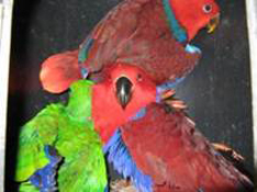 image023