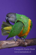 image025