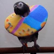image029
