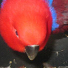 image001