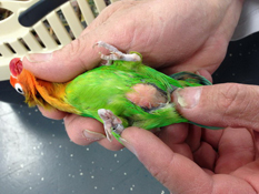 image021