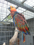 image001