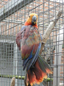 image002