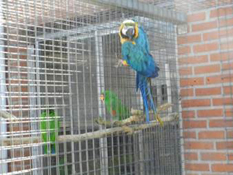 image016