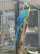 image017