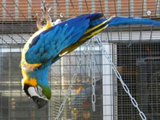 image020