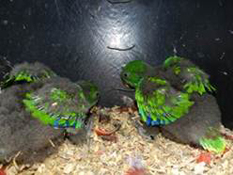 image021