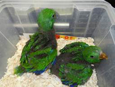 image024
