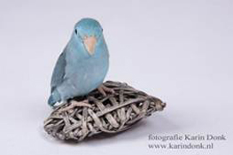 image029