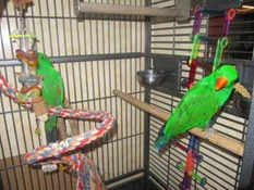 image030