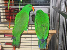 image031