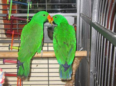 image032