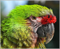 image036