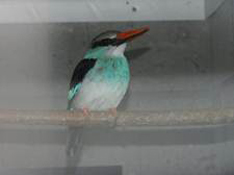 image022