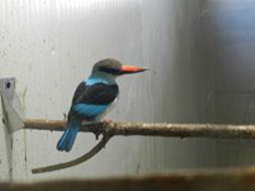 image023