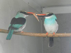 image024
