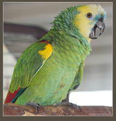 image029