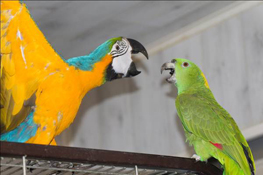 image037