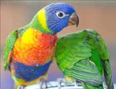 image038