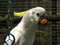 image009