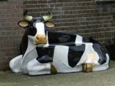 image094