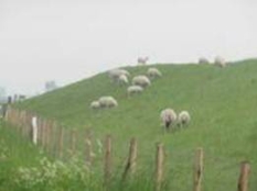 image121