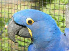image001