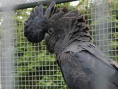 image003