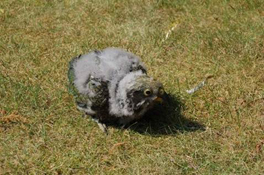 image014