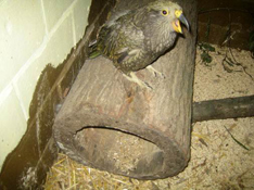 image018