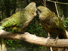 image021