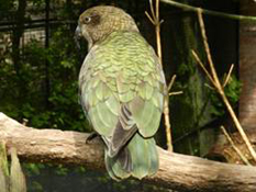 image022