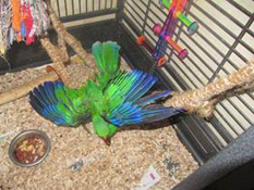 image024