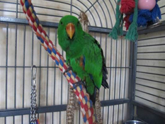 image001