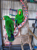 image004