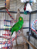 image005