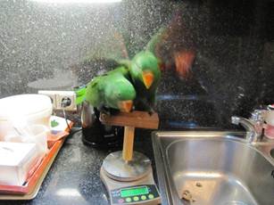 image003