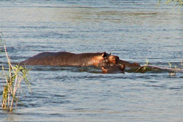 image015