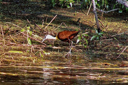 image018