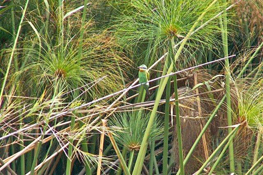 image019