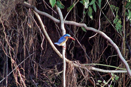 image020