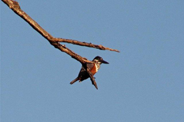 image021