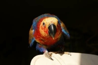 image030
