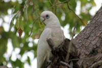 image053