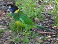 image055