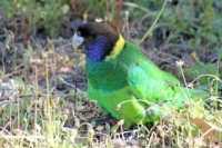 image056