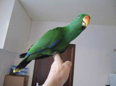 image002